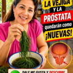 Remedios Naturales para Mantener la Próstata Saludable y Equilibrar la Vejiga