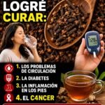 Bebida Natural para Apoyar la Circulación y el Bienestar Diario