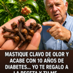 Beneficios del Clavo de Olor para la Salud y Cómo Incorporarlo en Tu Dieta