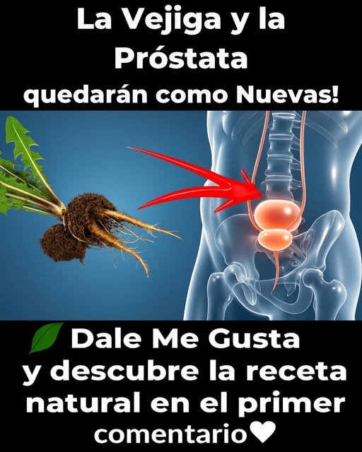 Diente de león