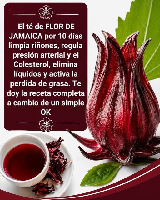 Té de Jamaica