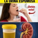 Combatir la Proteinuria y Sanar los Riñones con Vitaminas Esenciales