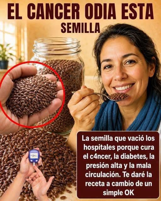 Semillas nutritivas en un frasco