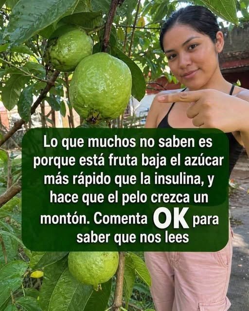 Imagen de Guayaba fresca