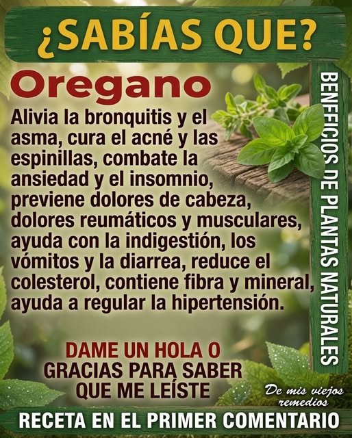 Beneficios del orégano
