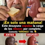 Desayuno Renal que Revitaliza y Expulsa la Carga de los Riñones