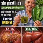 Las Cuatro Hojas que Pueden Transformar Tu Salud y Regular Tu Azúcar Presión y Circulación