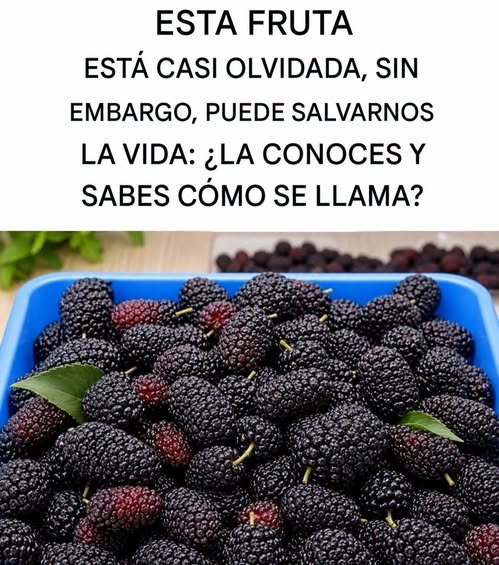 Moras Frescas en un recipiente azul