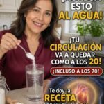 Hidratación Vital para Mantener tu Circulación Saludable a Cualquier Edad