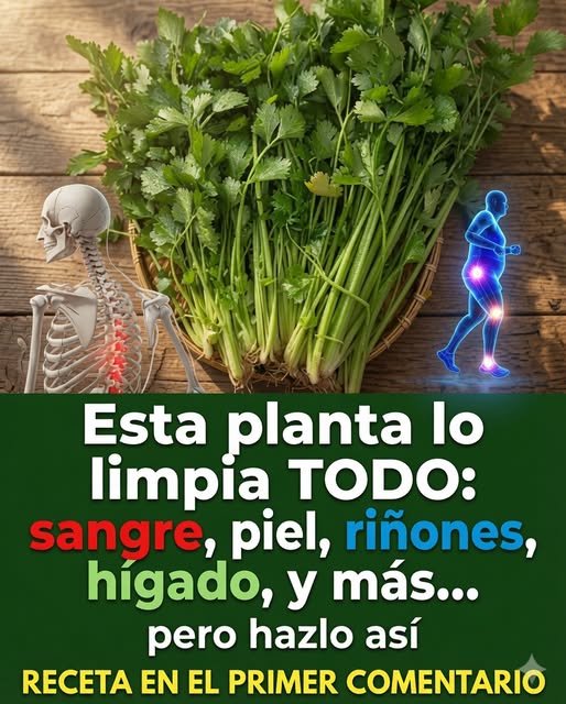 Apio y sus Beneficios