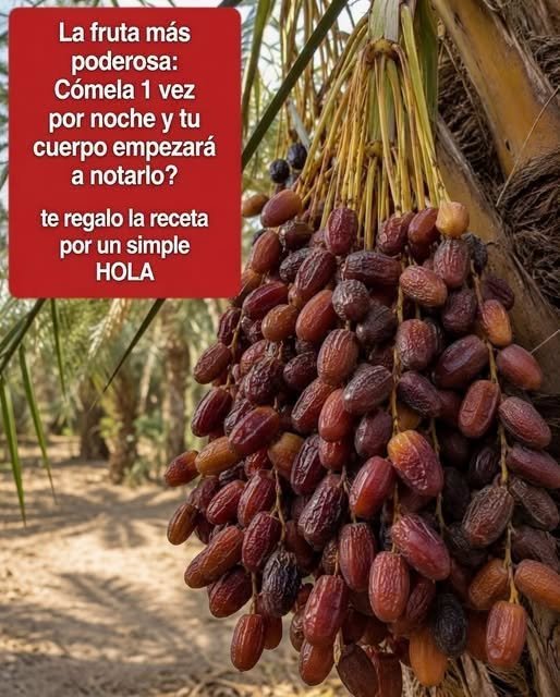Racimo de dátiles