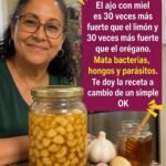 Beneficios del Ajo y la Miel en Ayunas para tu Salud