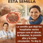 Descubre las 5 Semillas Milagrosas que Transformarán Tu Salud y Previenen Enfermedades