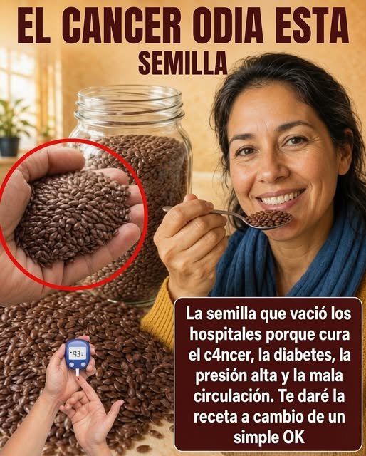 Semillas de lino