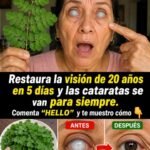 Cómo la Moringa Transformó la Visión de Mi Madre