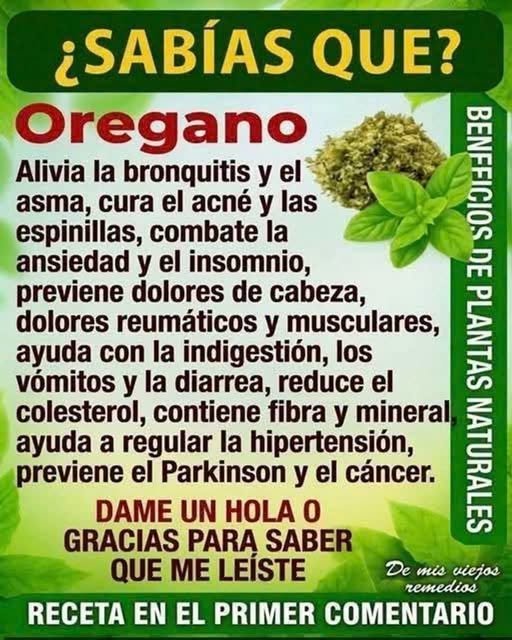 Beneficios del Orégano