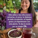 Plantas que Prometen Soluciones Mágicas ¿Realidad o Ficción