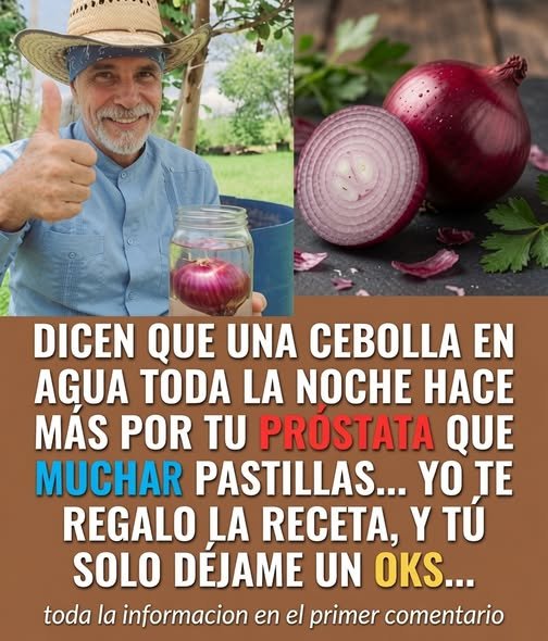 Cebolla morada en agua