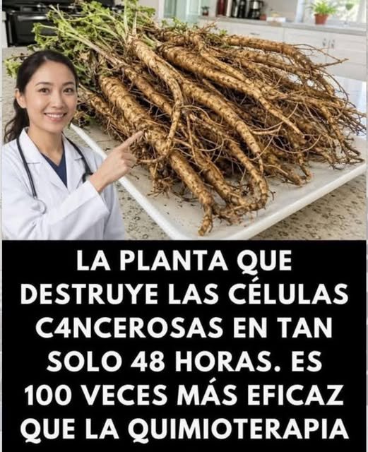 Hojas de Neem
