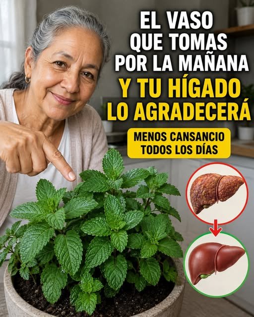 Infusión de hierbabuena