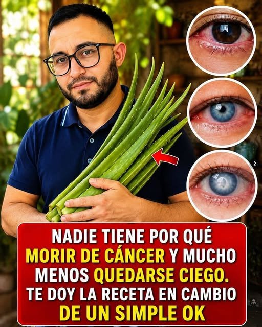 Aloe Vera