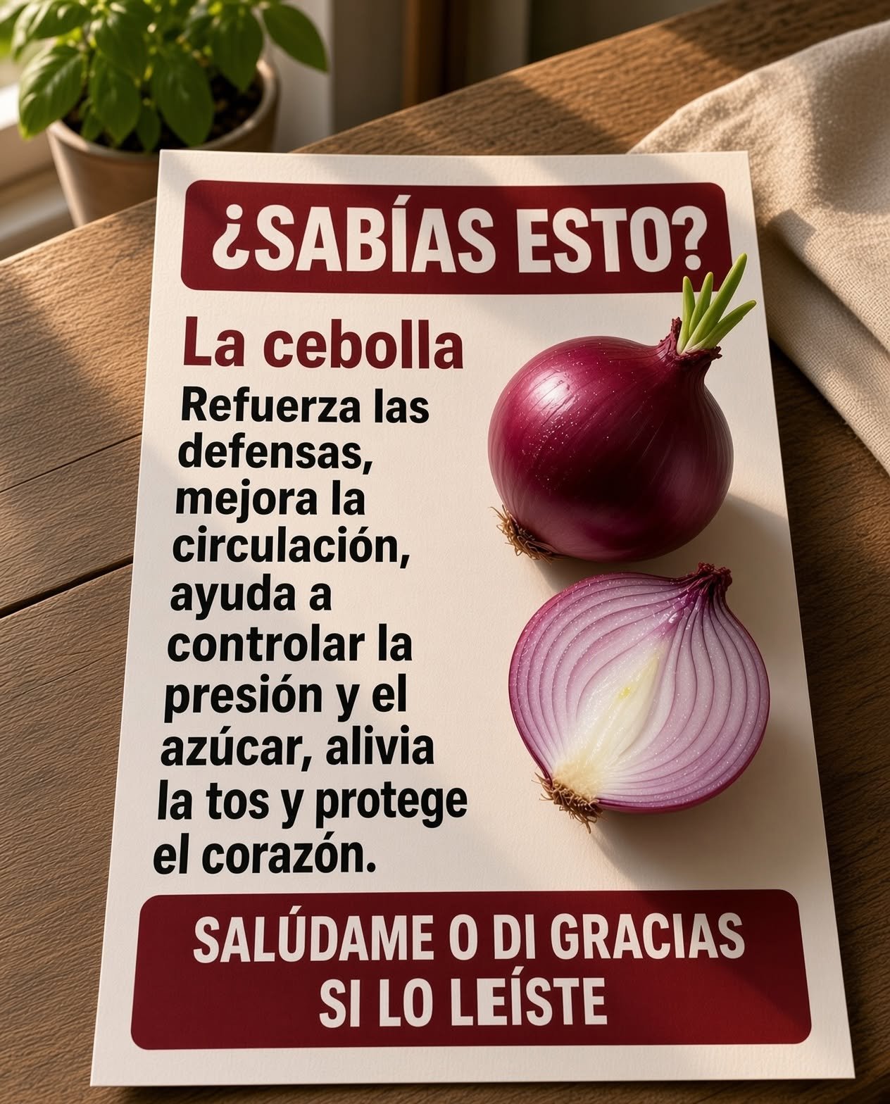 Cebolla roja