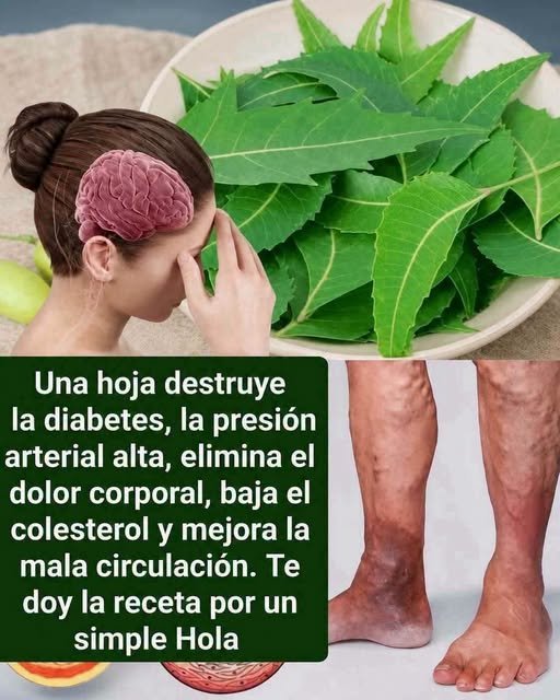 Hojas de neem