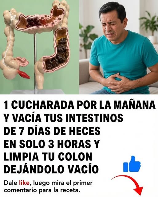 Salud Digestiva