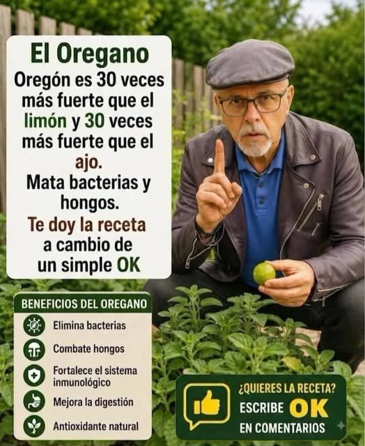 Beneficios del orégano