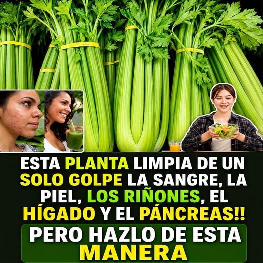 Beneficios del apio