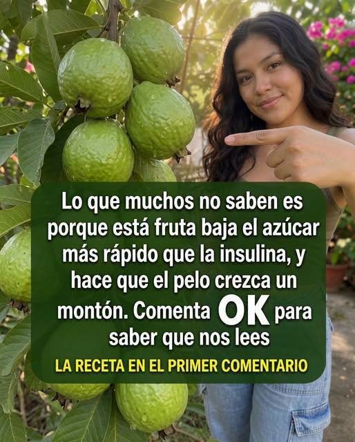 Guayabas frescas en un árbol
