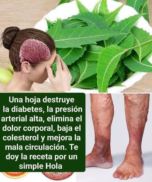 Hojas de Neem