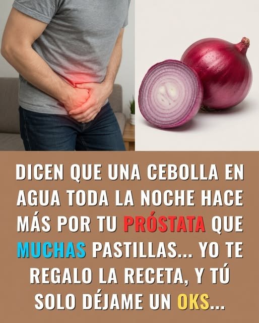 Cebolla morada en agua