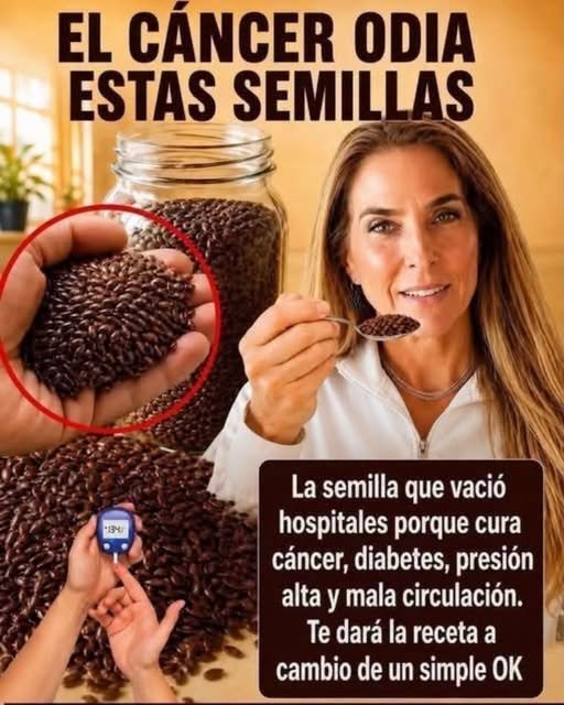 Semillas de chía y linaza