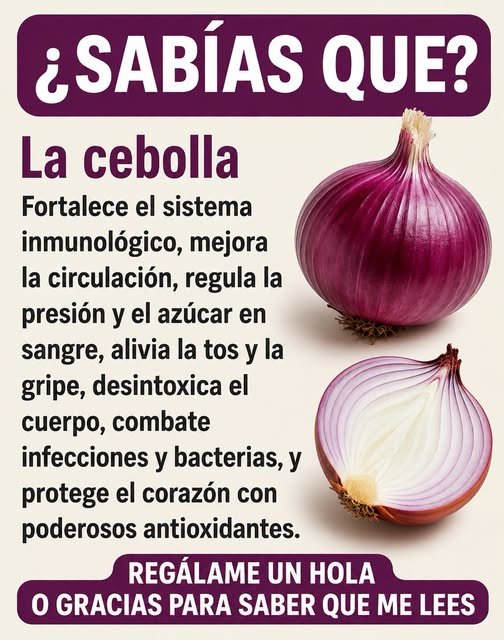 Beneficios de la Cebolla Morada