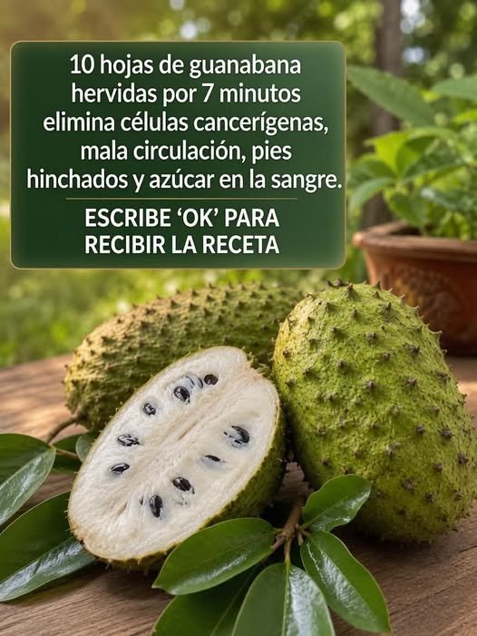 Guanábana y sus beneficios
