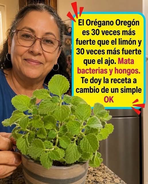 Persona sosteniendo orégano