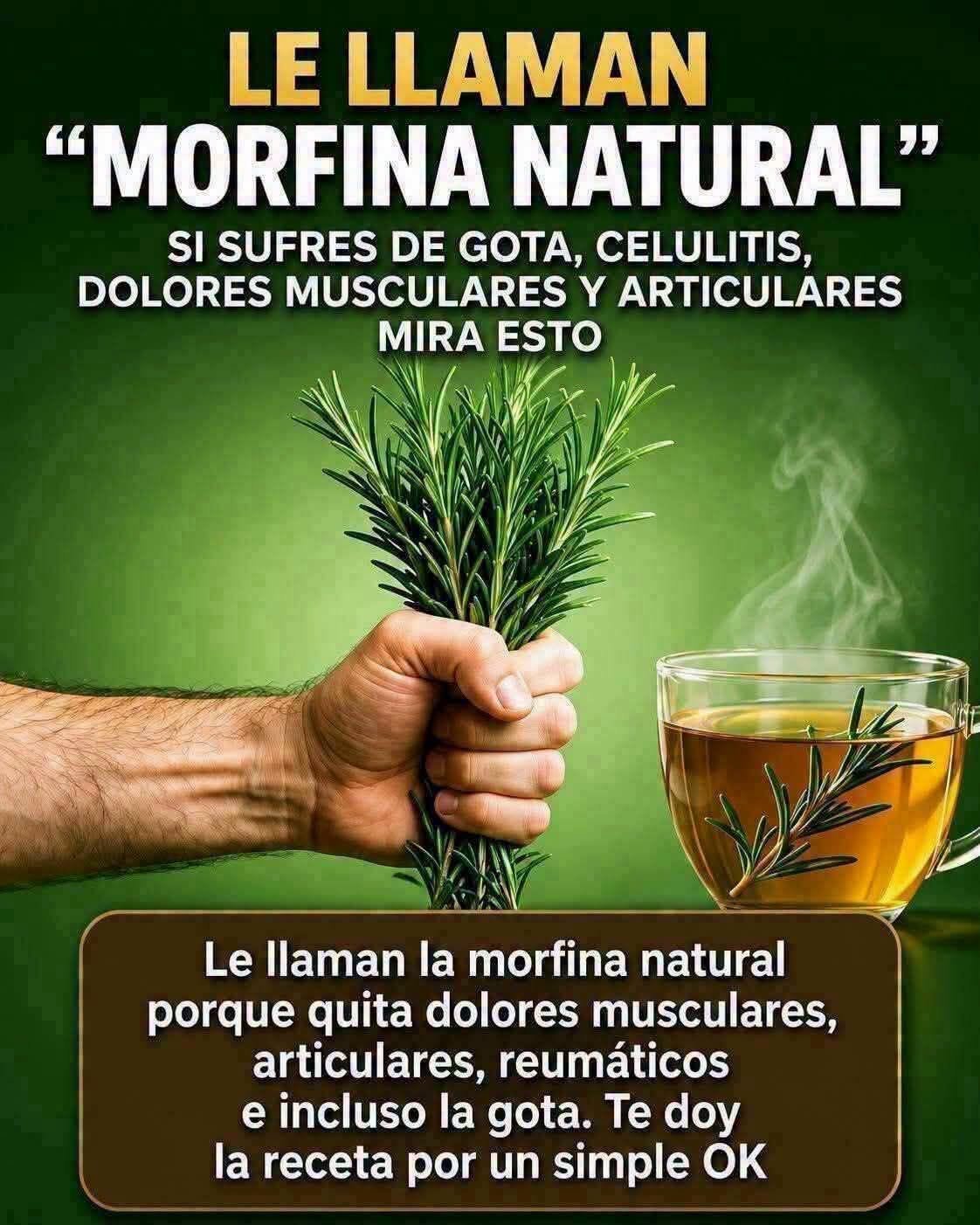 Morfina Natural Romero