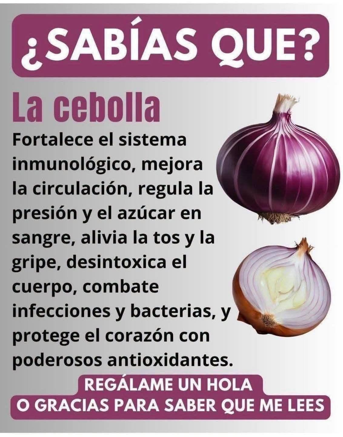 Cebolla Morada