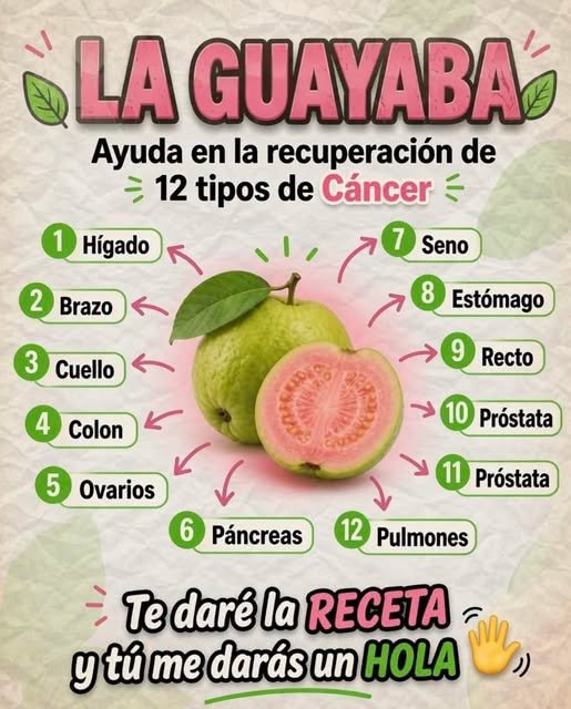 Beneficios de la Hoja de Guayaba