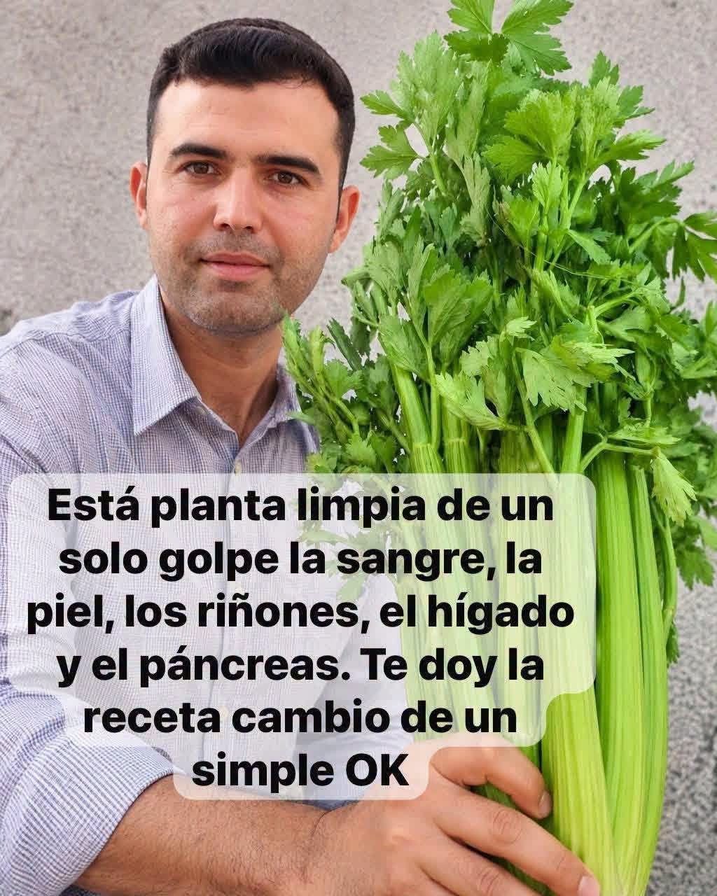 Persona sosteniendo un manojo de apio