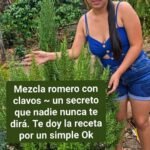 Té de Romero un Elixir Natural para Tu Bienestar Diario