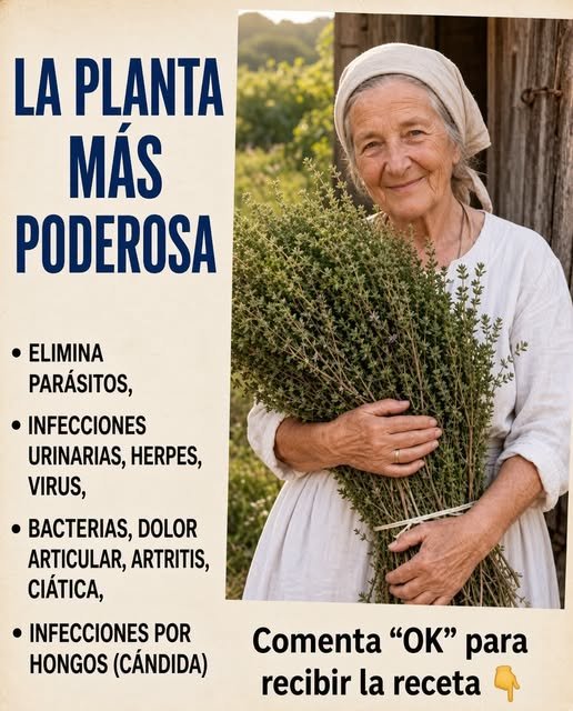 Planta de Verdolaga