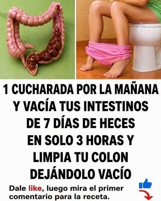 Colon limpio y saludable