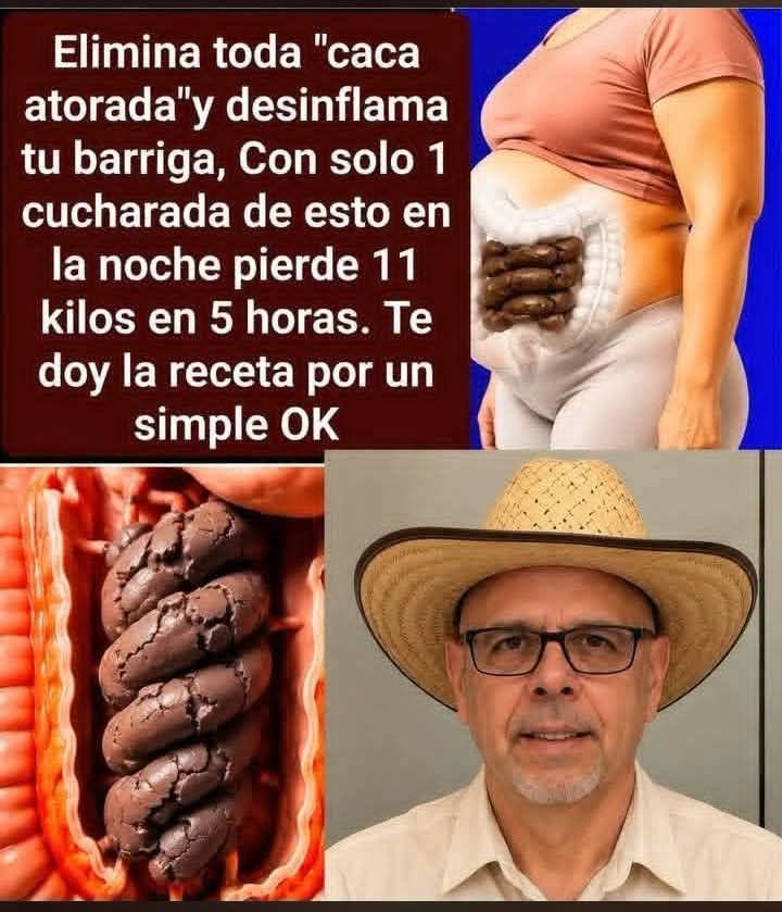 Semillas de papaya