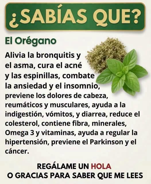 Beneficios del orégano orejón para la salud