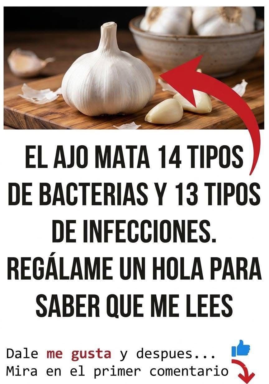 Beneficios del ajo