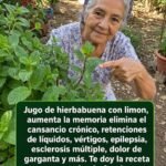 Beneficios del Jugo de Hierbabuena y Limón para la Salud