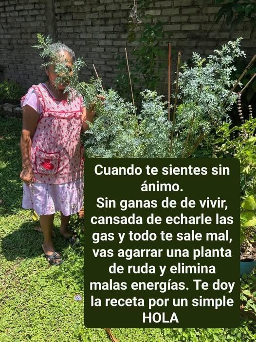 Cuida tu Ruda para Energías Positivas