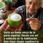 Descubre los Múltiples Beneficios del Limón y la Sal en tu Hogar